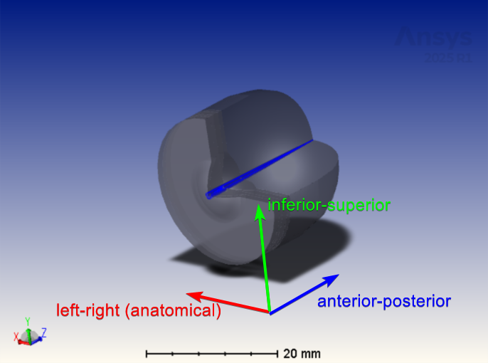 Illustration of the coordinate system in relation to the anatomical axes.